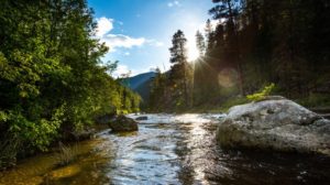 rockcreek